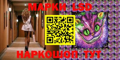 прущие крисы Будённовск