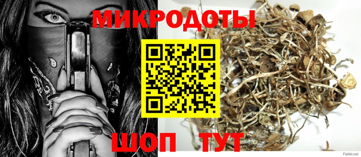 Псилоцибиновые грибы Magic Shrooms Кондопога